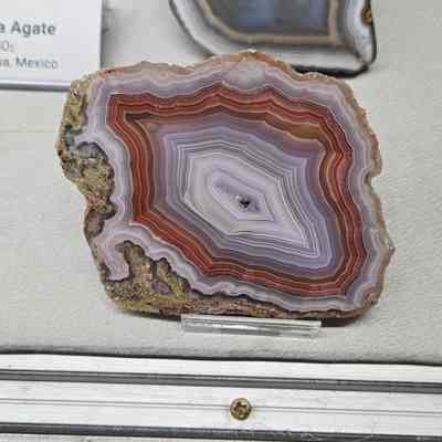 Laguna Agate