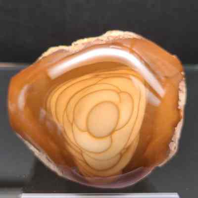 Bruneau Jasper