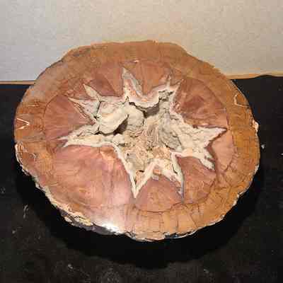 Thunderegg