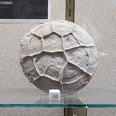 Septarian Nodules