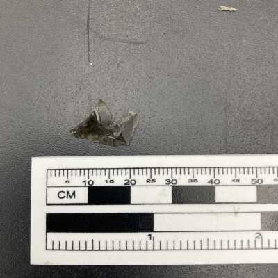 Projectile Point Fragment