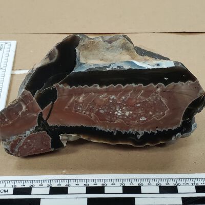 Thunderegg