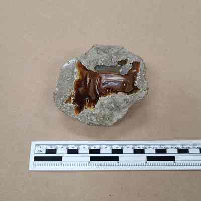 Thunderegg