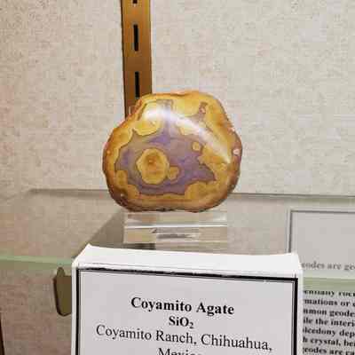 Coyamito Agate