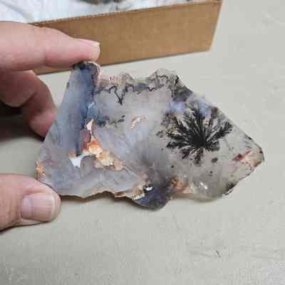 Dendritic Agate