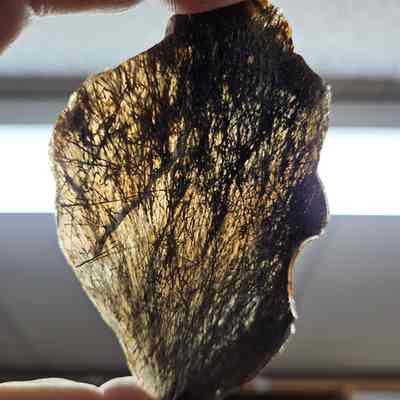 Sagenite Agate