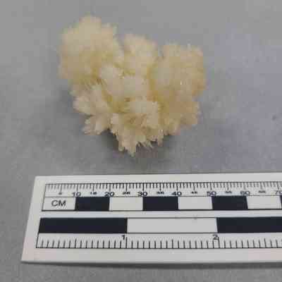 Aragonite