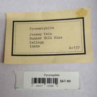 2 tags stored with specimen