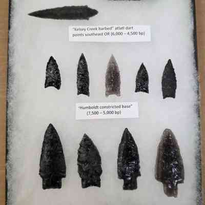 Projectile Point Board