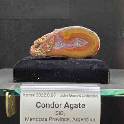 Condor Agate