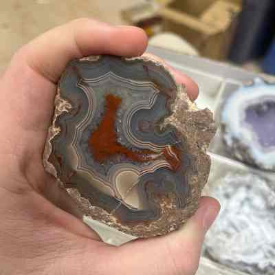 Thunderegg