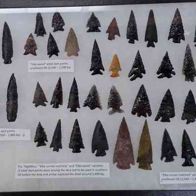 Projectile Point Board