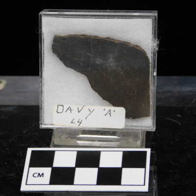 Meteorite Davy 'A' L4