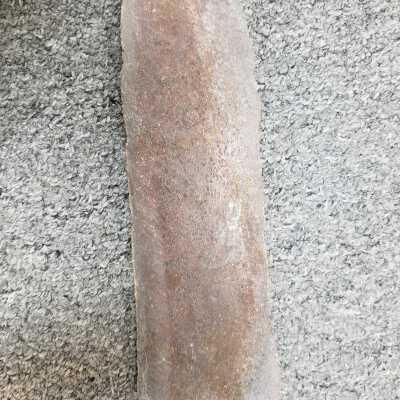 Bone slab