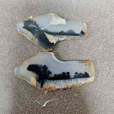 Oregon Dendritic Agate