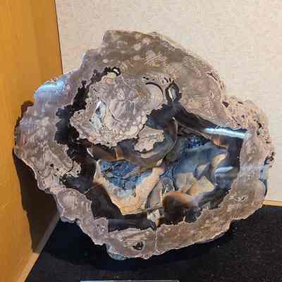 Thunderegg