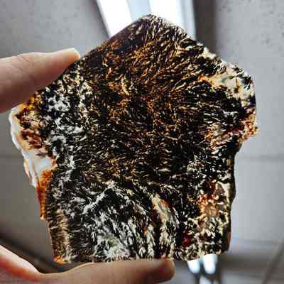 Plume Agate