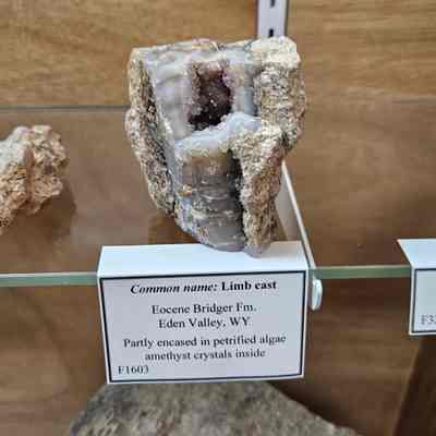Amethyst in Limb Cast