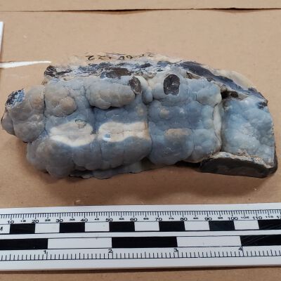 Outside of Specimen