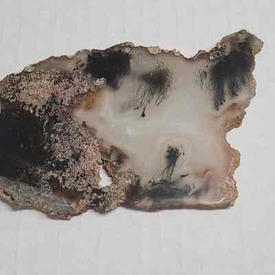 New Mexican Plume Agate