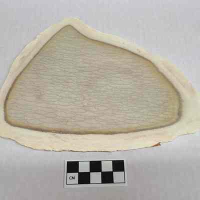 Willow Creek Jasper