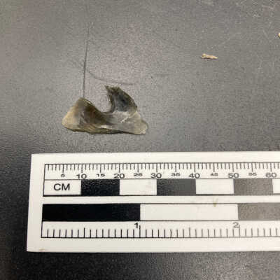Projectile Point Fragment