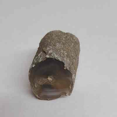 Limb Cast