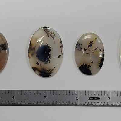 Dendritic Agate