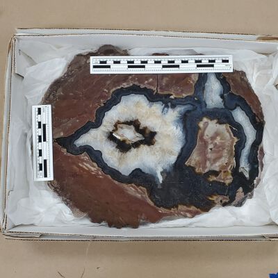 Thunderegg Oregon