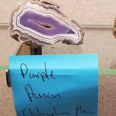 Purple Passion Agate