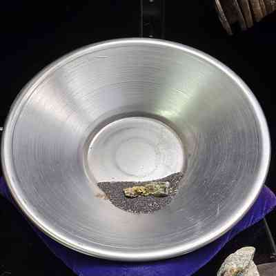 Nugget in the pan where it was displayed when accessioned. Associated gold dust was not sifted but there are several visible flakes present.