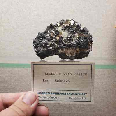 Enargite with Pyrite