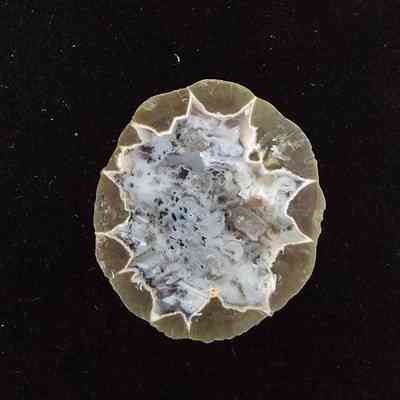 Thunderegg