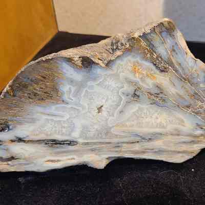 Sagenite (Agate)