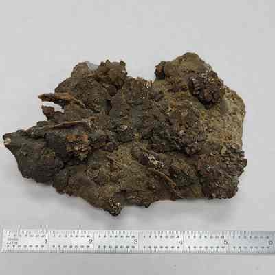 Arsenopyrite & Sphalerite on Chert