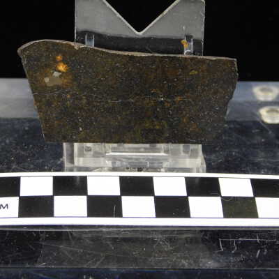 Brandon Meteorite
