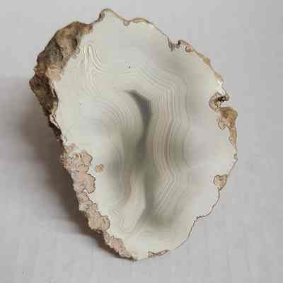 Oregon Agate