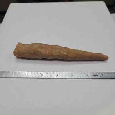 Stalactite