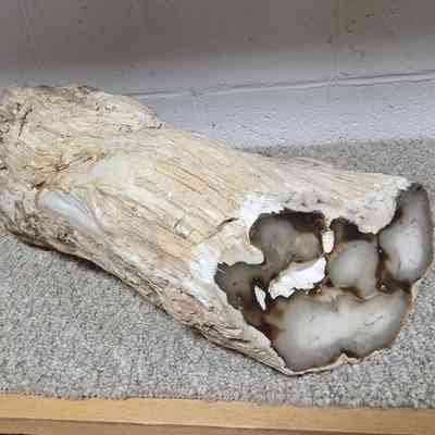 Limb Cast