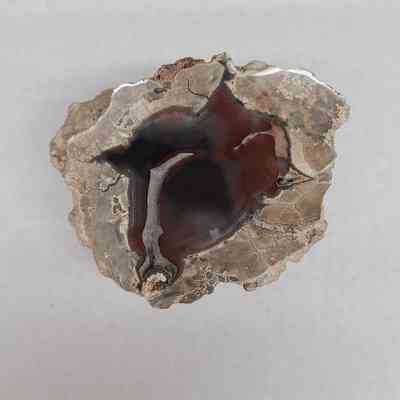 Thunderegg