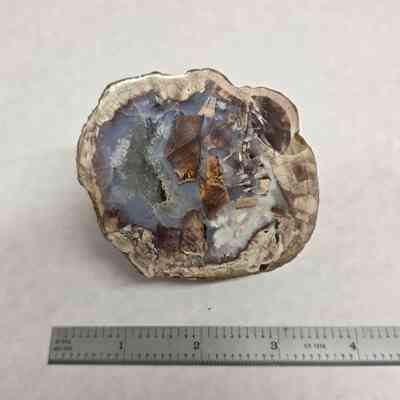 Thunderegg