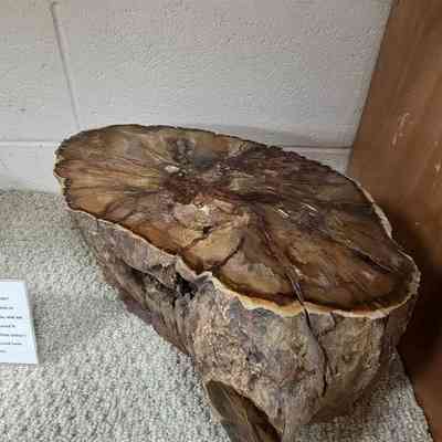 (A) larger log