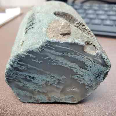 Moss Agate Limb Cast