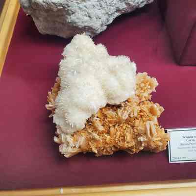 Selenite on Halite