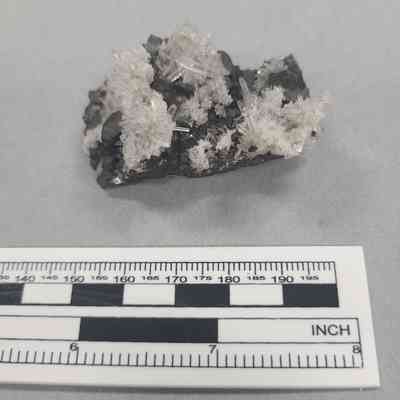 Quartz and Sphalerite