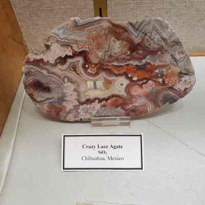 Crazy Lace Agate