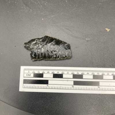 Projectile Point Fragment