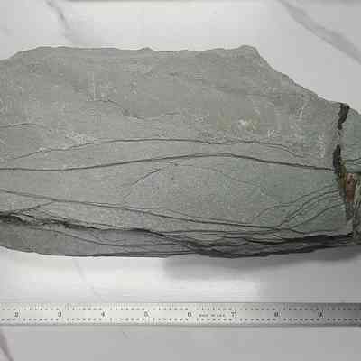 Shale
