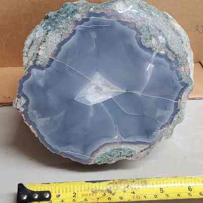 Blue Limbcast
