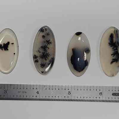 Dendritic Agate